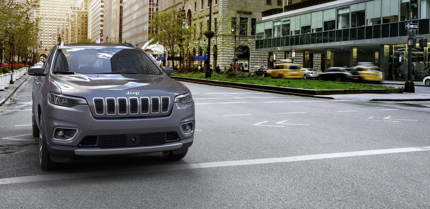 ADAPTIVE CRUISE CONTROL WITH STOP AND GO
